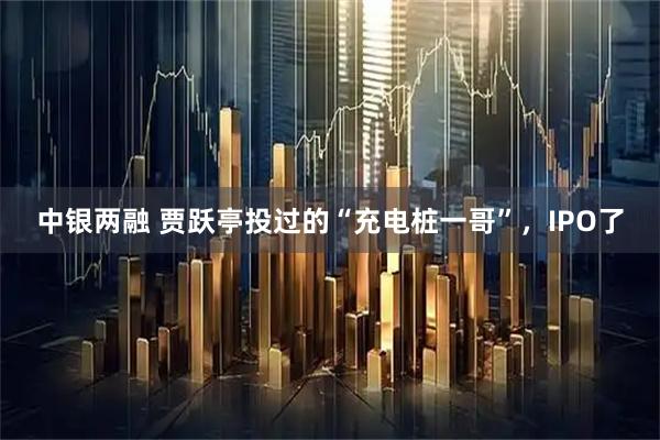 中银两融 贾跃亭投过的“充电桩一哥”,IPO了