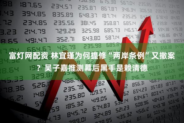 富灯网配资 林宜瑾为何提修“两岸条例”又撤案?吴子嘉推测幕后黑手是赖清德